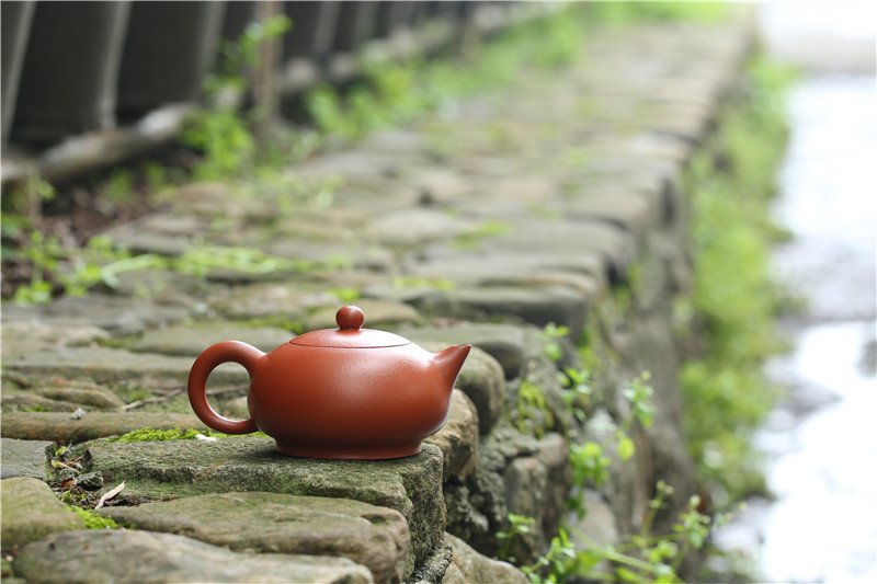 宜兴紫砂壶 | 雅趣_泥料：朱泥_容量：260cc