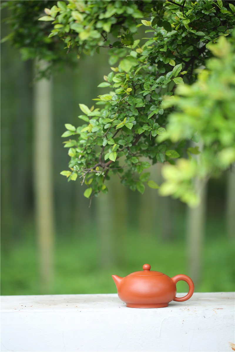 宜兴紫砂壶 | 雅趣_泥料：朱泥_容量：260cc