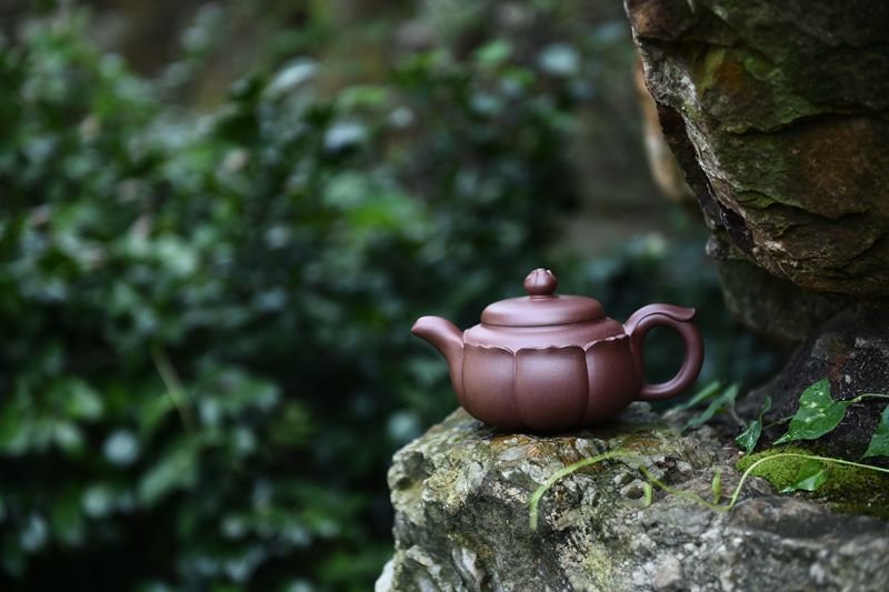 宜兴紫砂壶 | 莲花_泥料：紫泥_容量：450cc